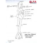 Super Sam Bilateral Venous-Arterial Anatomical Training Model