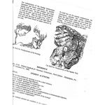 Veterinary Assistant Handbook by F. C. Faries, DVM Texas A&M