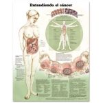 Cancer Chart - Understanding Cancer Spanish Language