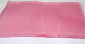 Canine Suture Patch TRANSPARENT Incision Training Model