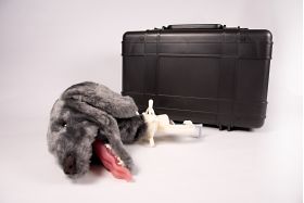 Canine Intubation Training Mannikin w Case K9 Canine Intubation Training Mannikin w Case K9