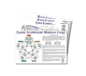 Equine 5-Element Chart Set  of 4, Tallgrass IAATH Equine 5-Element Chart Set  of 4, Tallgrass IAATH