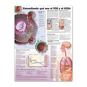 HIV Aids Chart - Understanding HIV and AIDS  Spanish Language