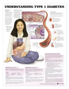 Diabetes Chart - Understanding Type 1 Diabetes