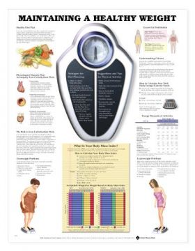 Obesity Chart - Maintaining a Healthy Weight