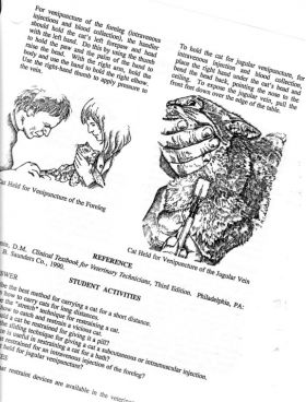 Veterinary Assistant Handbook by F. C. Faries, DVM Texas A&M Veterinary Assistant Handbook by F. C. Faries, DVM Texas A&M
