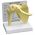 Shoulder Joint Anatomical Model