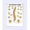 Vertebral Column Chart - The Vertebral Column