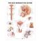Male Reproductive System Chart