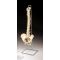 Vertebral Column Flexible  Anatomical Model with Open Sacrum