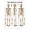 Skeletal System Chart Human Comprehensive MOST POPULAR
